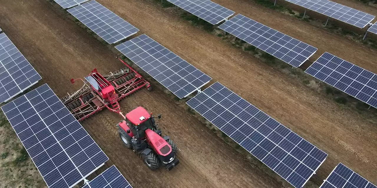 Energiewende in der Landwirtschaft: Unten Gemüse, oben Solardächer