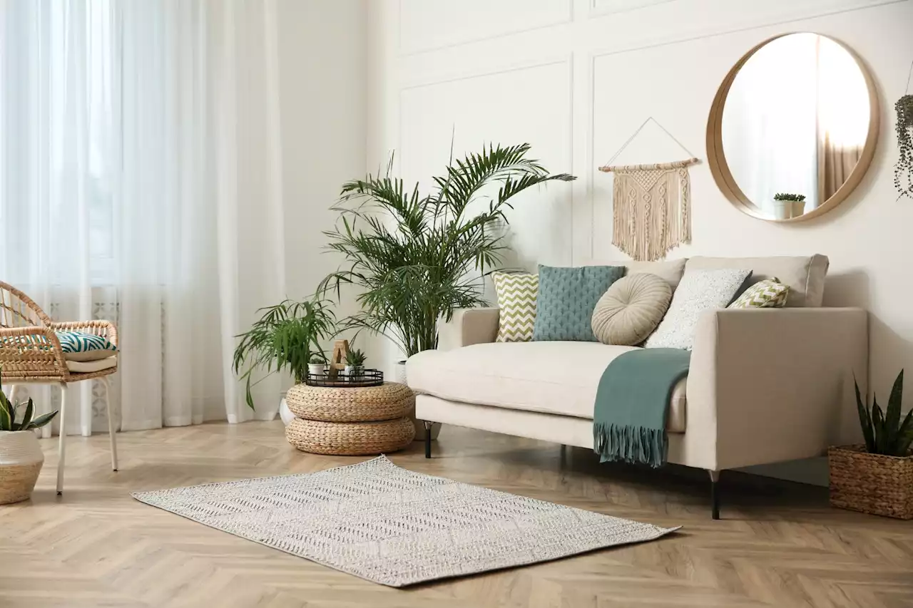 Daily hacks: How to make your home look bigger with houseplants | The Citizen