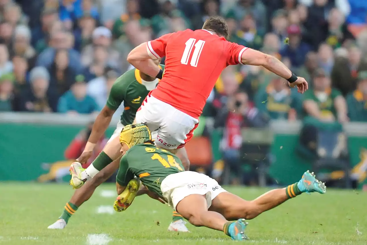 OPINION: Kurt-Lee Arendse continues to change the narrative for the Springboks | The Citizen