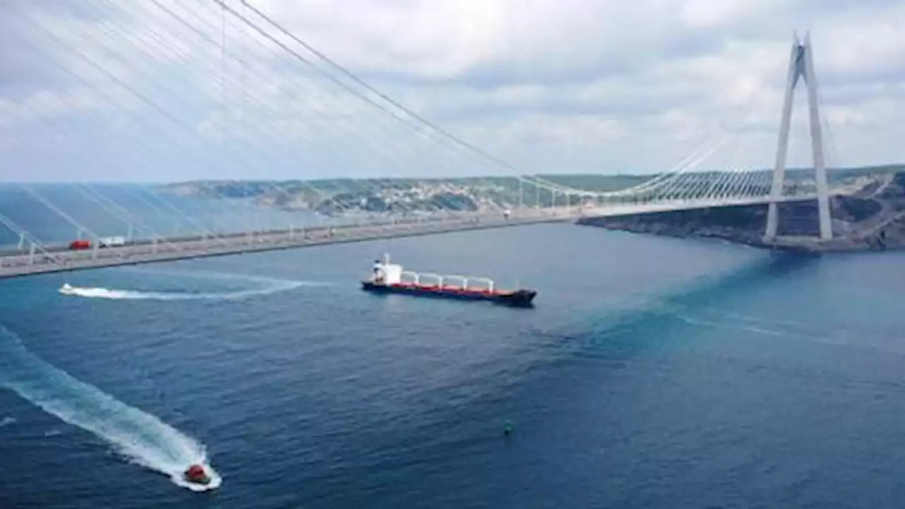 First Ukrainian grain ship leaves Istanbul for Lebanon