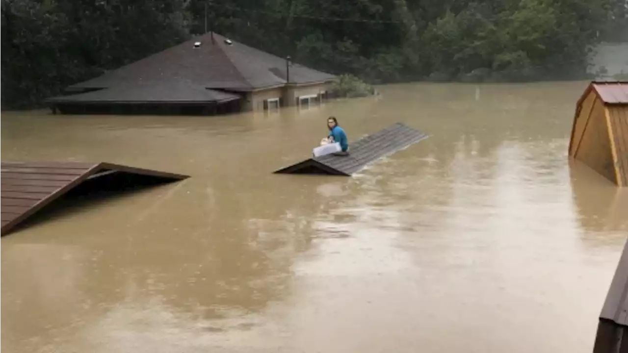 Kentucky Flooding: Teen, Dog Make Harrowing Escape To Roof, Wait 5 Hours For Help | The Weather Channel