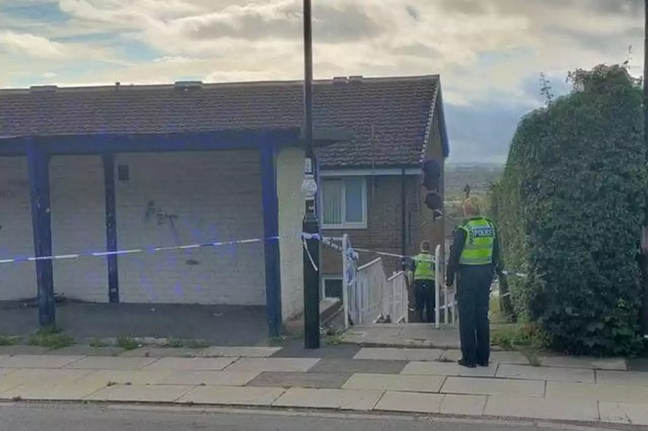 Murder investigation launched after man, 50, dies following assault in Yorkshire