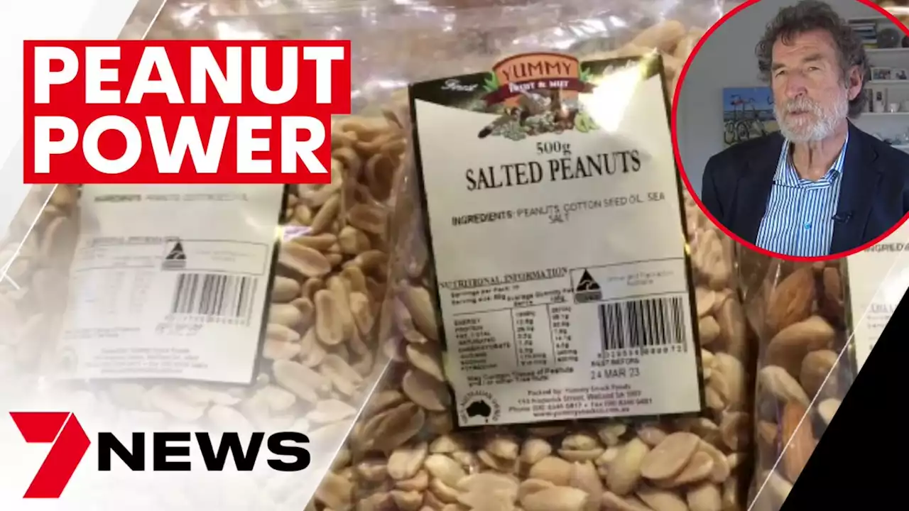 Pantry staple dry-roasted peanuts could help with weight loss | 7NEWS