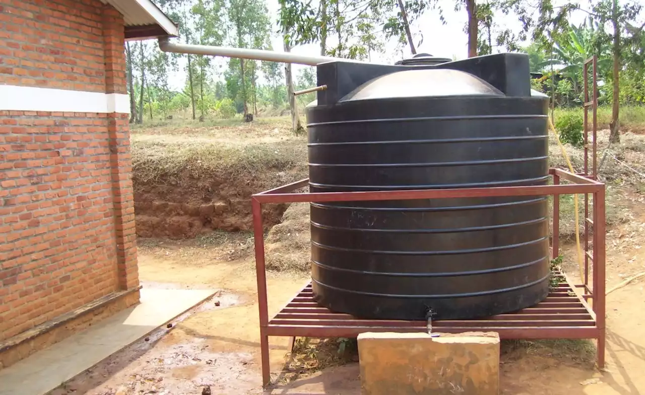 Africa: How Safe Is It to Drink Rainwater?