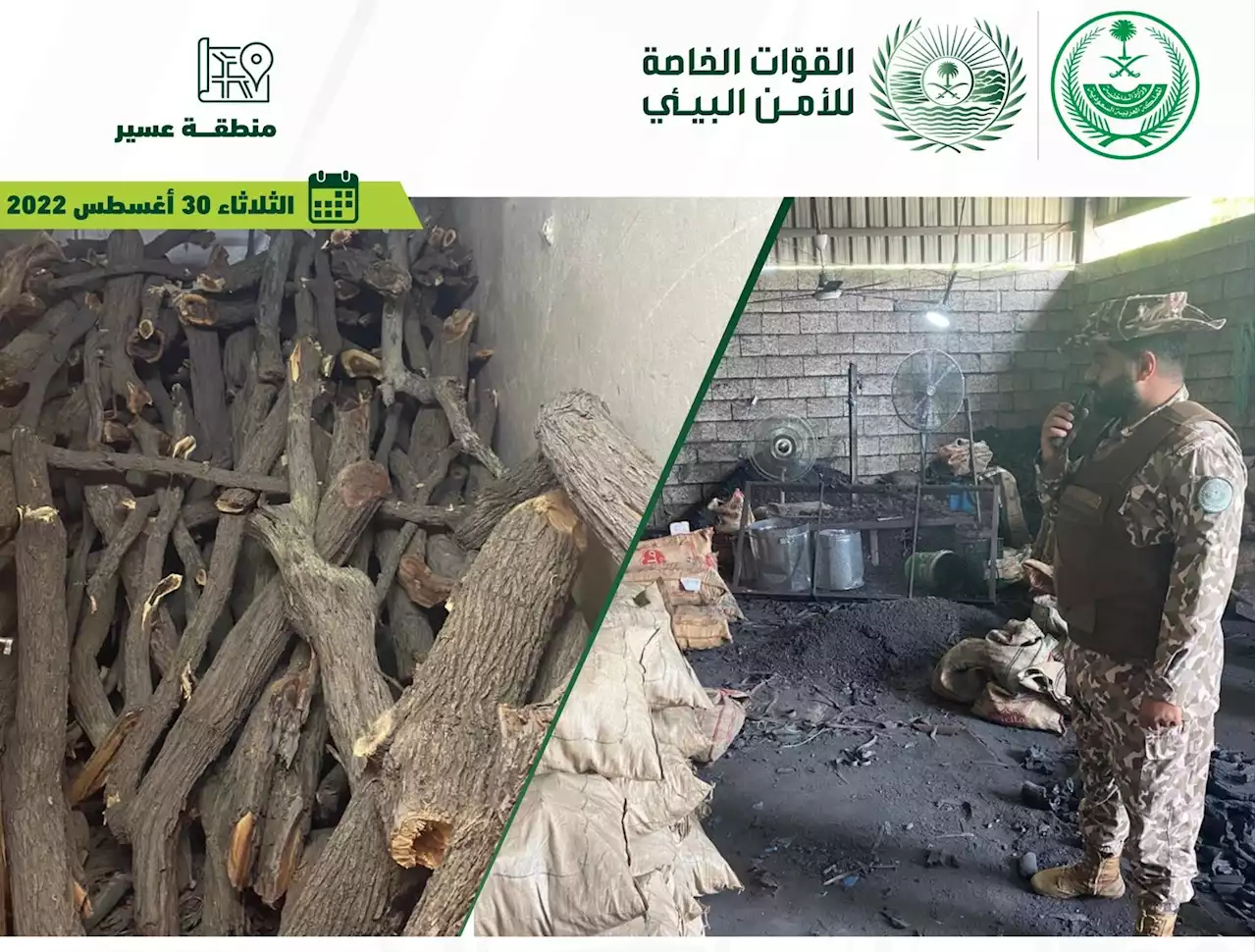 ضبط 4 مخالفين استخدموا حطبًا وفحمًا محليين في أنشطة تجارية | صحيفة المواطن الإلكترونية