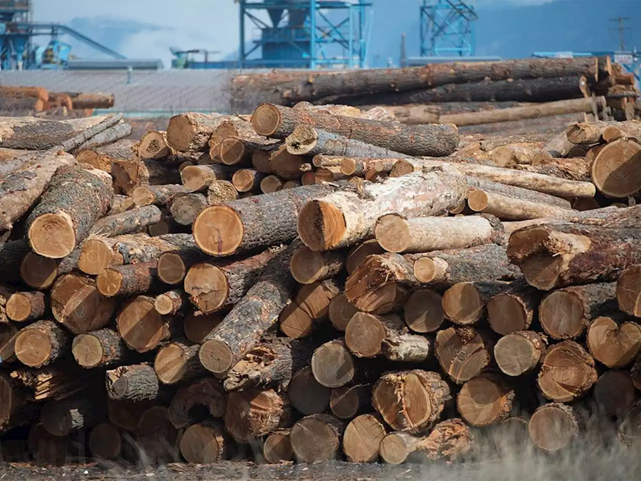 Canada formally initiates challenge of 'unfair' U.S. duties on softwood lumber