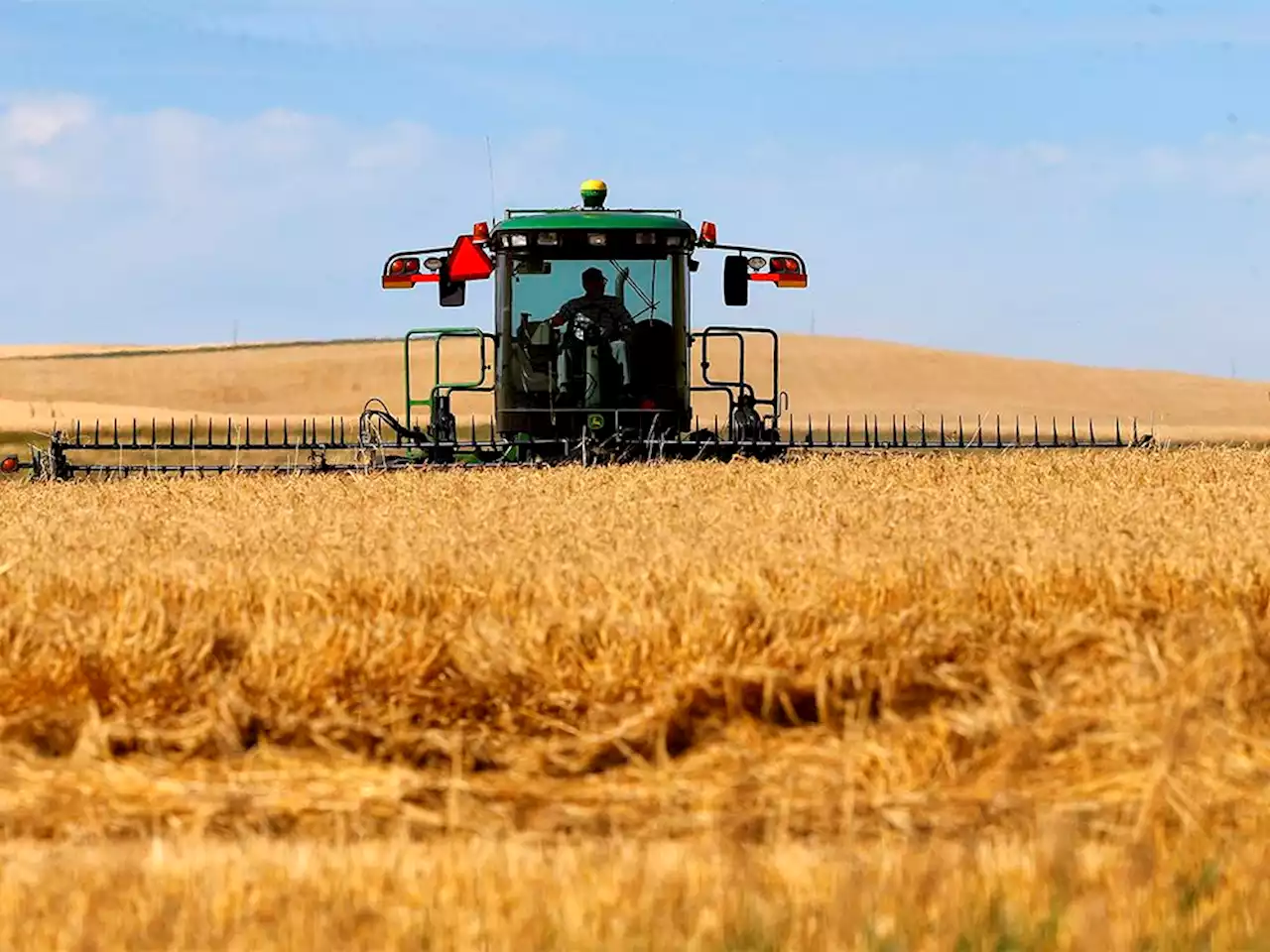 Producers expecting critical above-average harvest