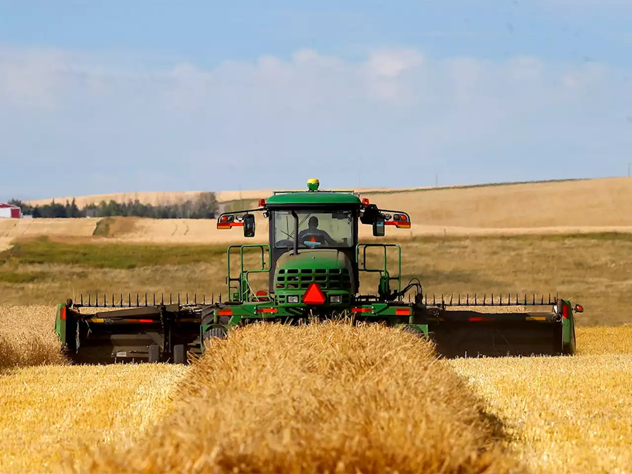 Producers expecting critical above average harvest