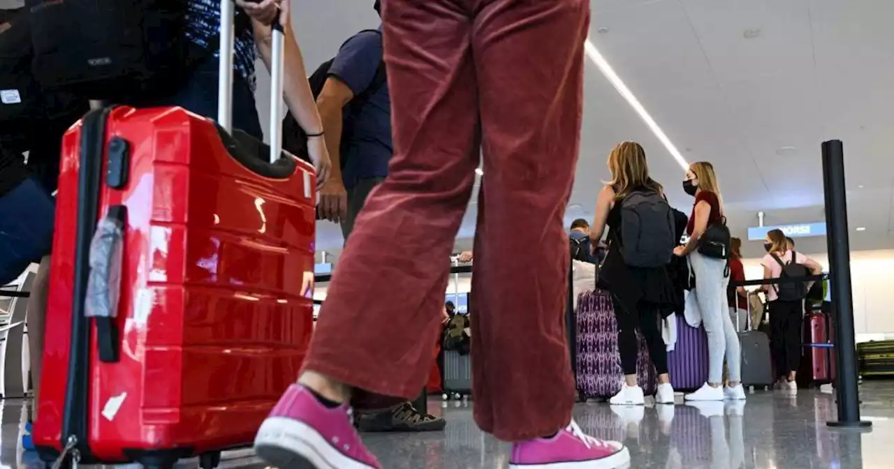 LAX sees near doubling of summer international travel