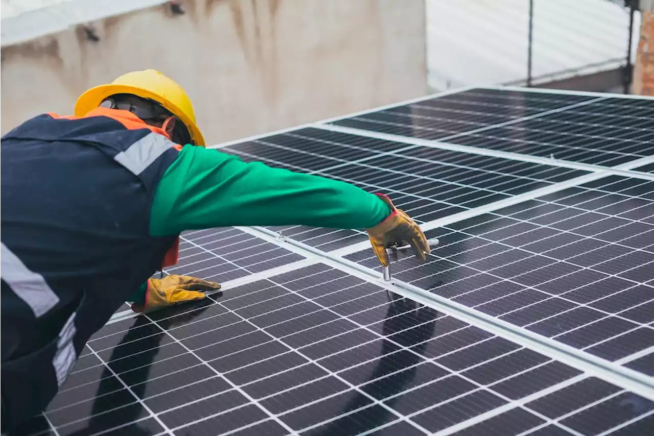 New Capital Park solar array will be one of the largest on Vancouver Island