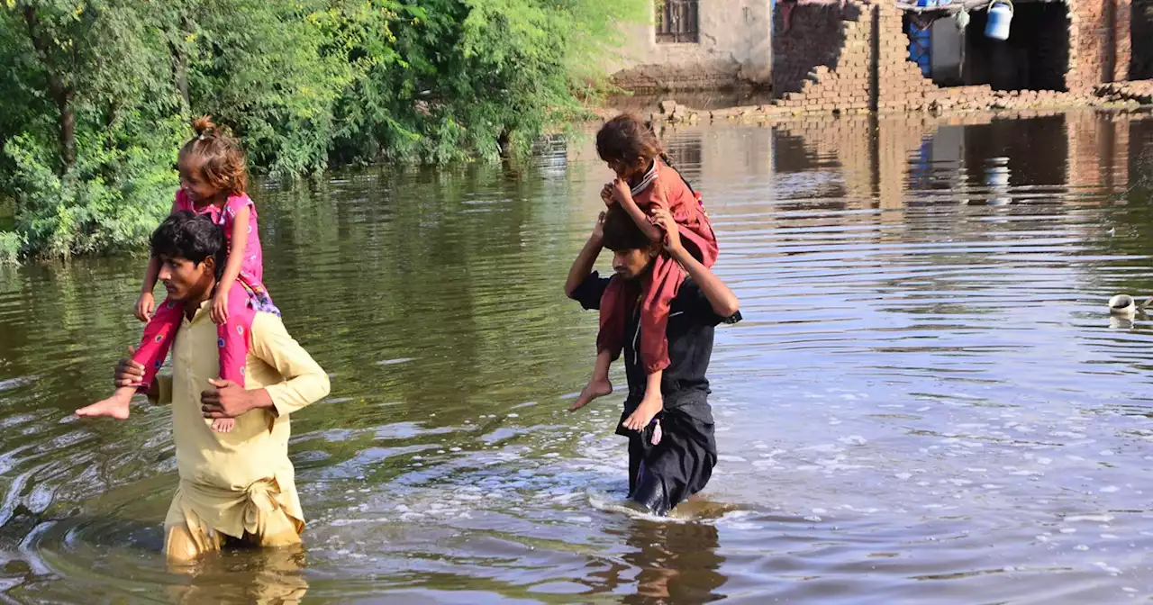 'Climate Dystopia at Our Doorstep': Tens of Millions Battle Catastrophic Flooding in Pakistan