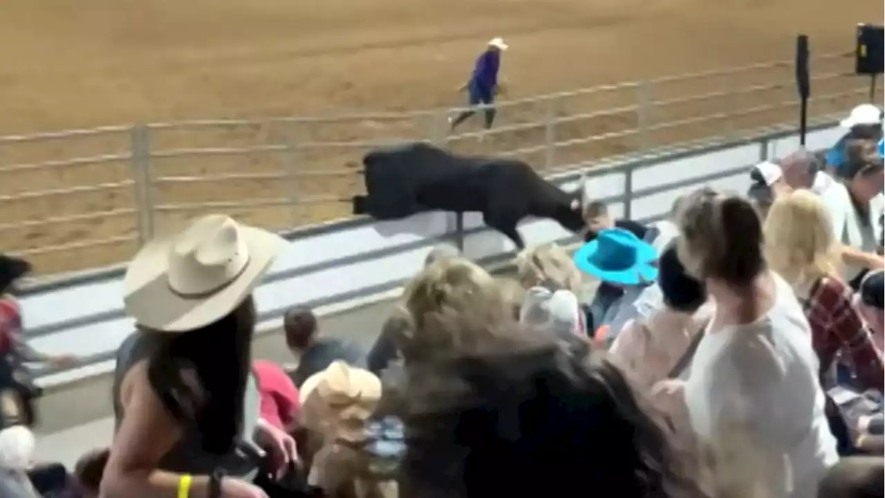 Escaped bull leaps into panicked crowd during rodeo at Florida State Fair