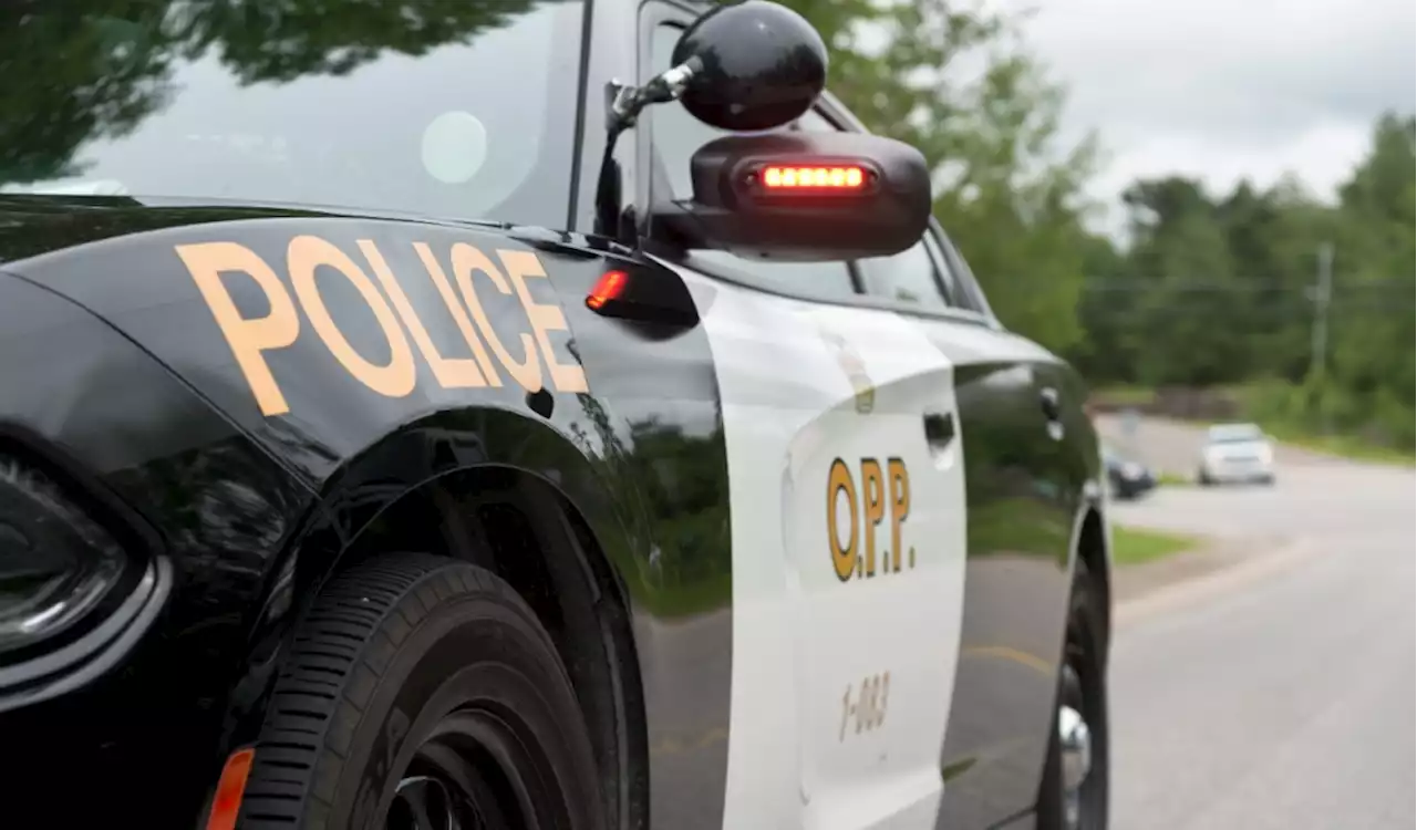 Driver killed in single-car crash in Napanee, Ont.