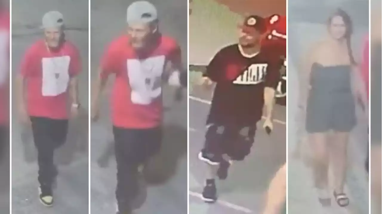 Kingston, Ont. police seek to ID three in connection with downtown stabbing