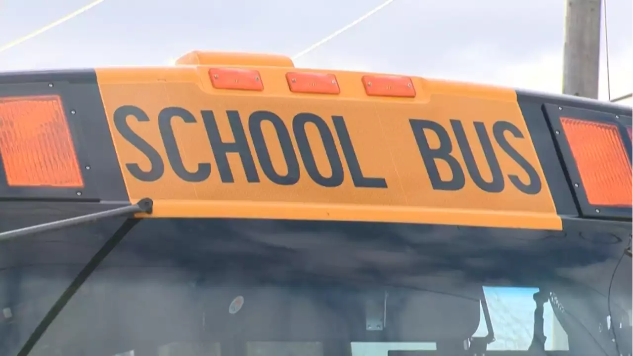 School buses get back on the roads and school zones are in force