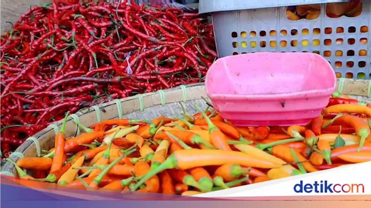 Tekan Inflasi, Luhut Minta Warga Tanam Cabai hingga Bawang Merah di Rumah