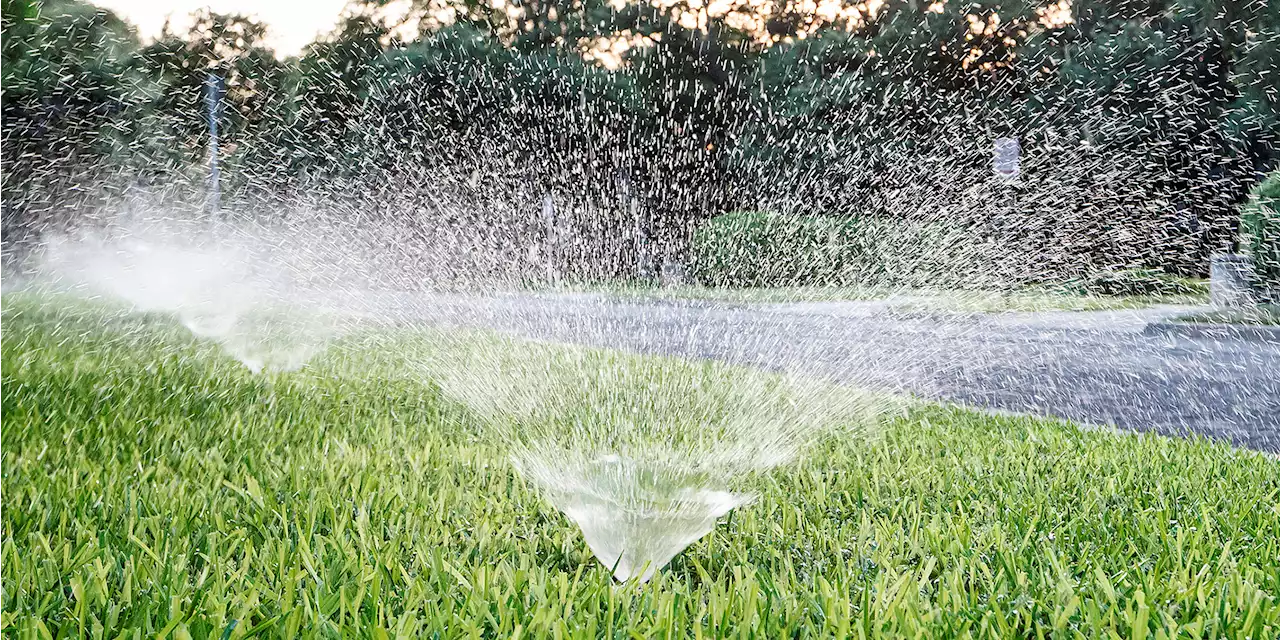 SAWS restrictions include specific watering times. Here's why.