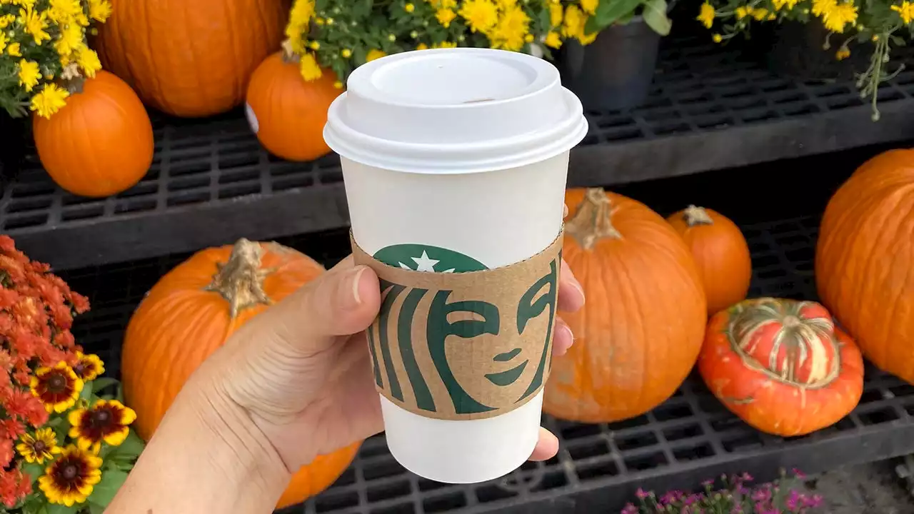 Autumn in August? When it is meteorologically OK to drink a Pumpkin Spice Latte