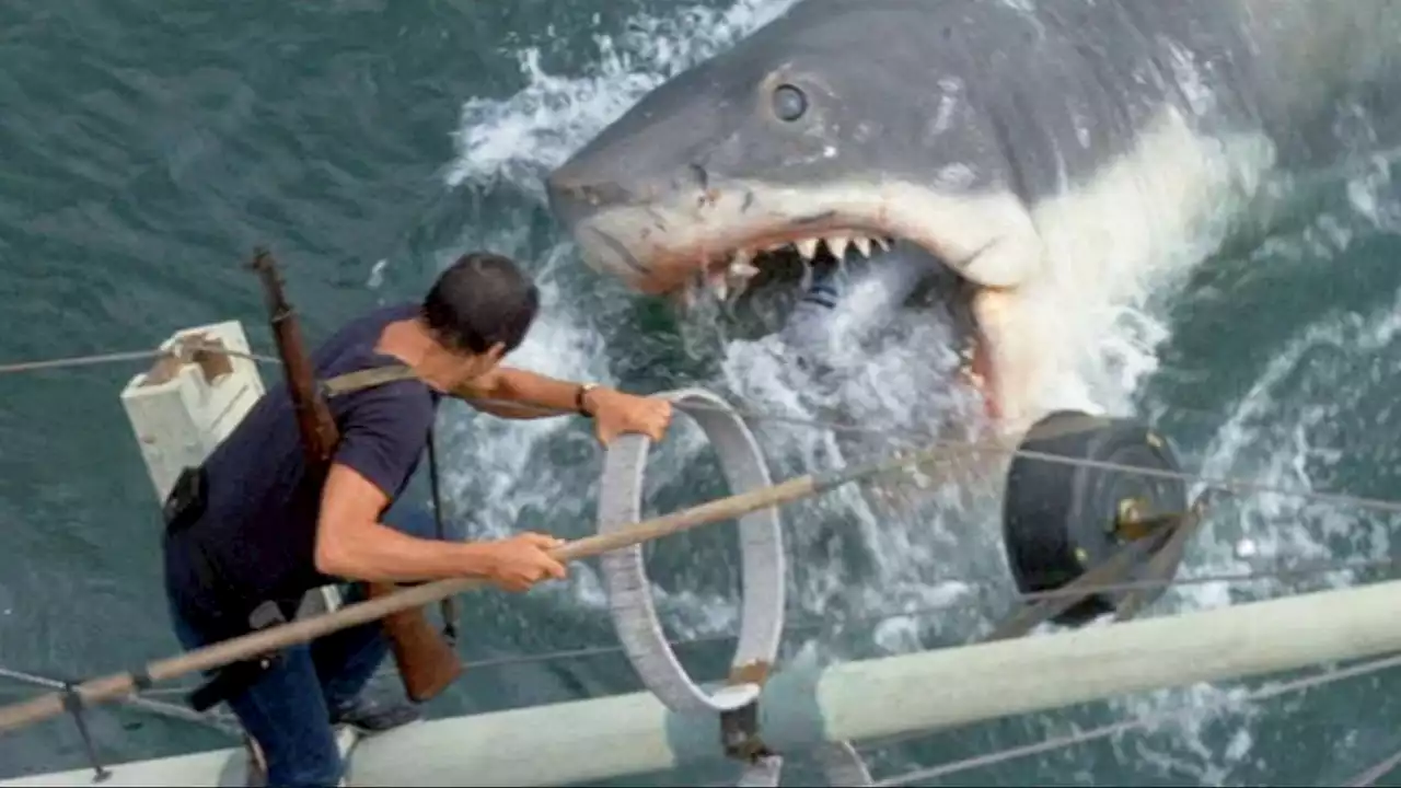 Jaws in 3D Review: Steven Spielberg Re-Release Is Excellent