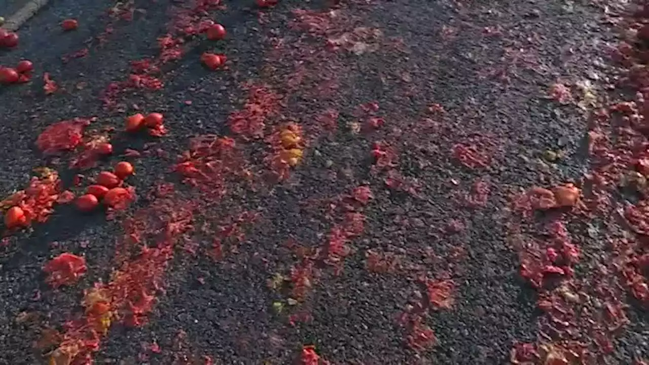 Four people injured after truck spills 150,000 tomatoes across California interstate