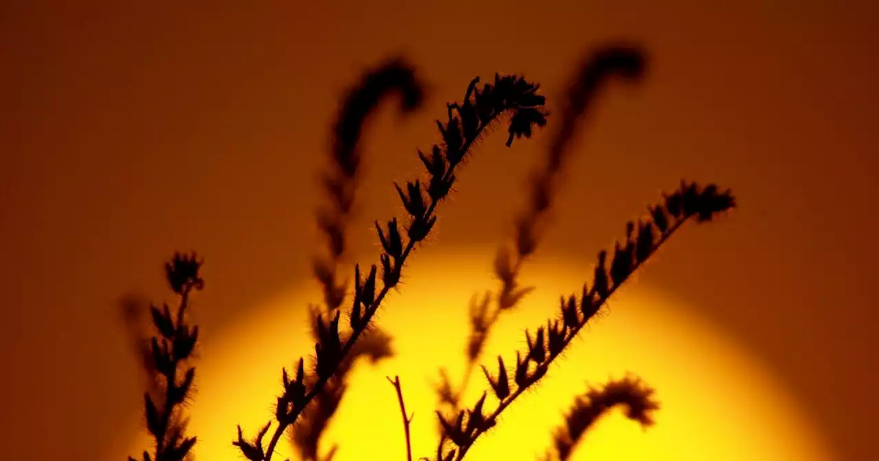 An Extreme Heat Wave Is Coming, And Expected To Stay Through Labor Day Weekend