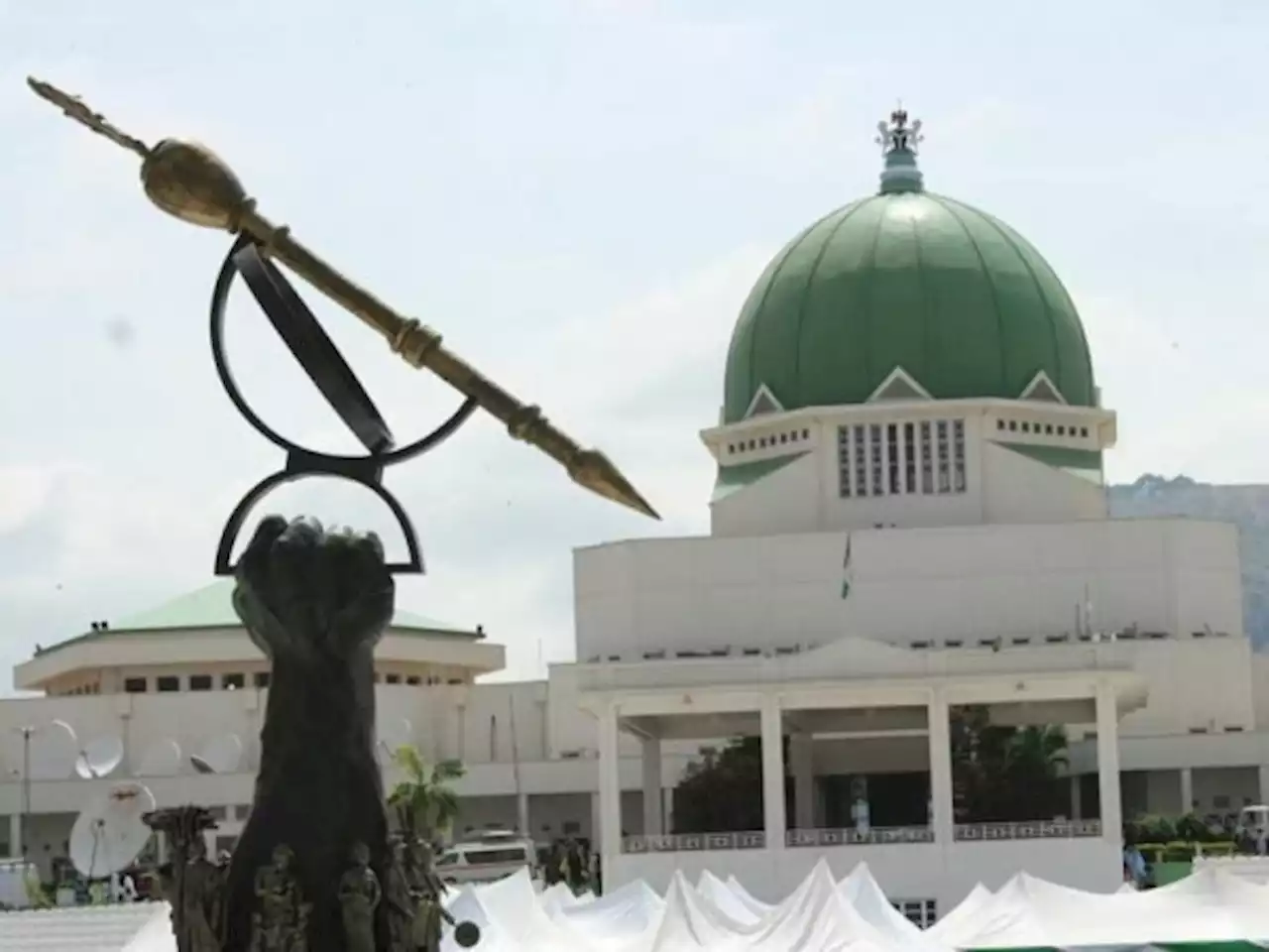 Delta senatorial candidate seeks NASS probe