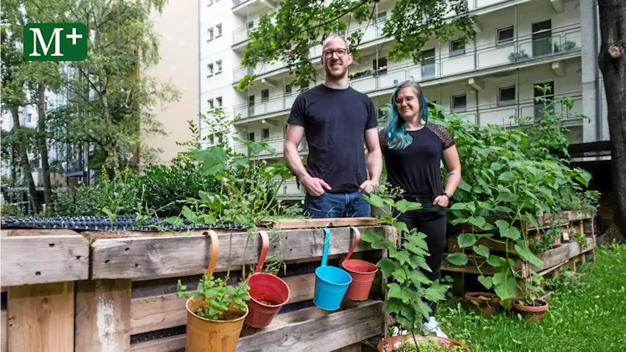 Eine grüne Oase inmitten der lärmenden Großstadt