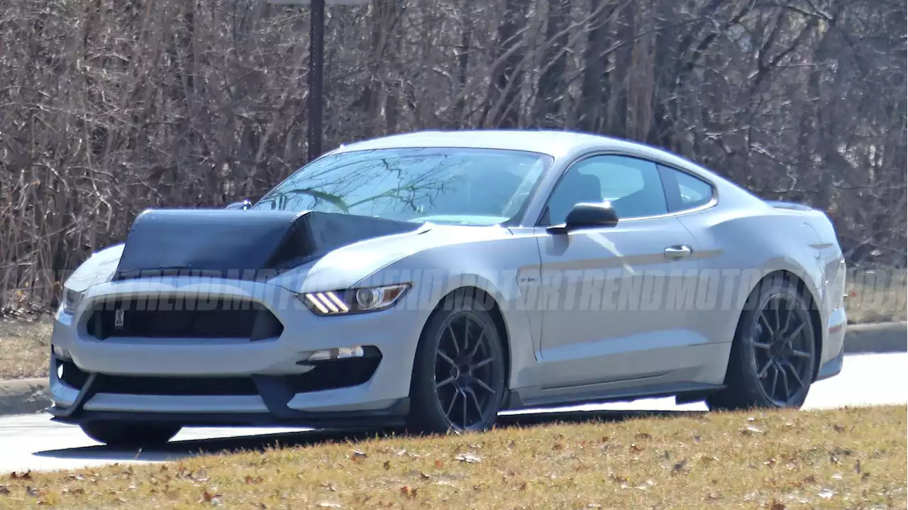 Mutant Mustang Mule's Hideous Hood Hides a Monstrous Secret