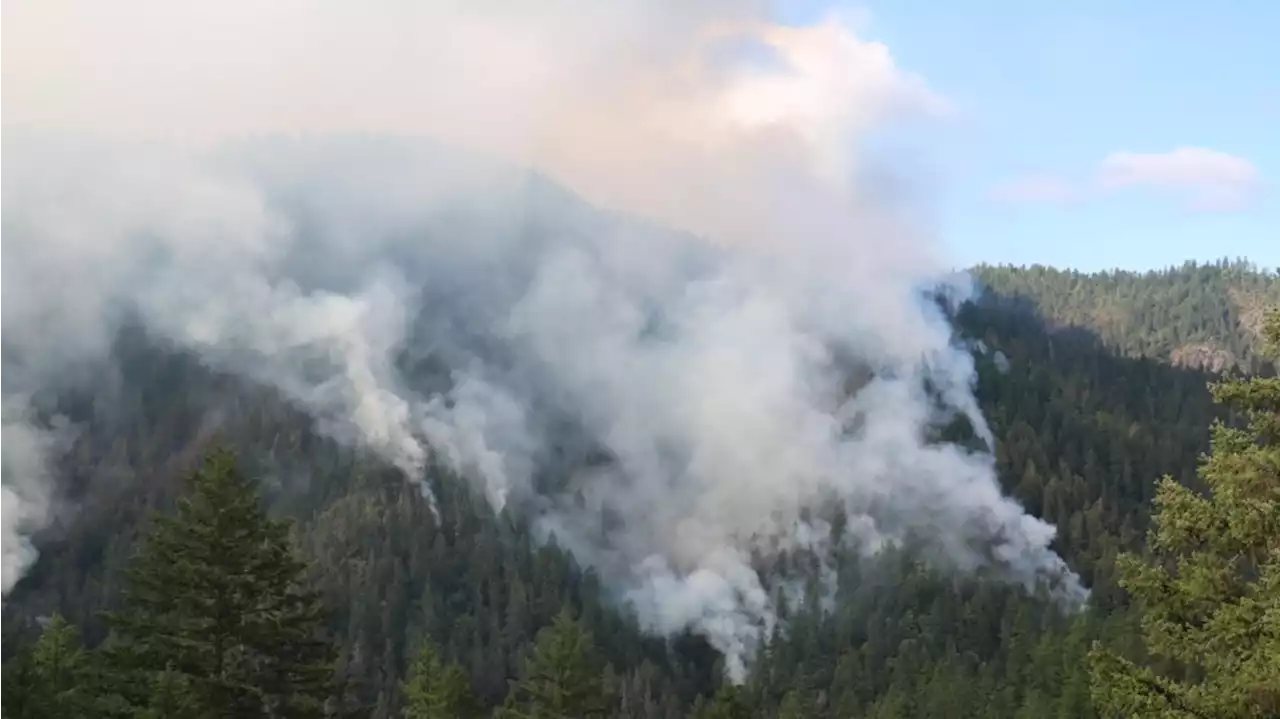 Two ‘large fires’ burn 2,600 acres of forest in Okanagan-Wenatchee National Forest