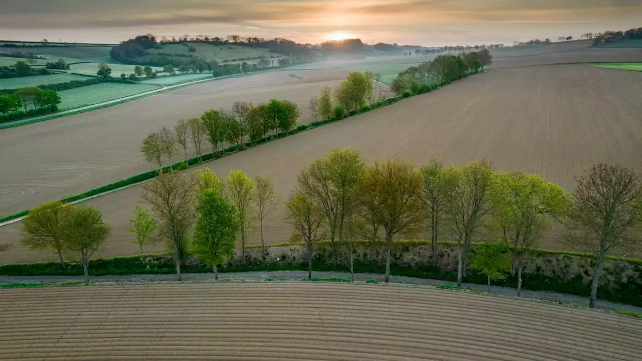 These ancient Dutch sunken roads hide stunning natural beauty