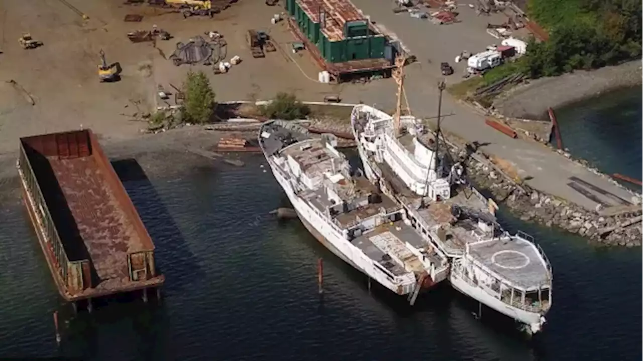 Vancouver Island residents struggle to oust shipbreaking operation | CBC News