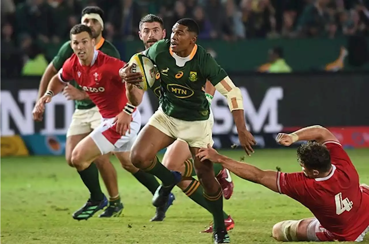 Injury-hit Springboks start Damian Willemse at 10, Canan Moodie in line for debut | Sport