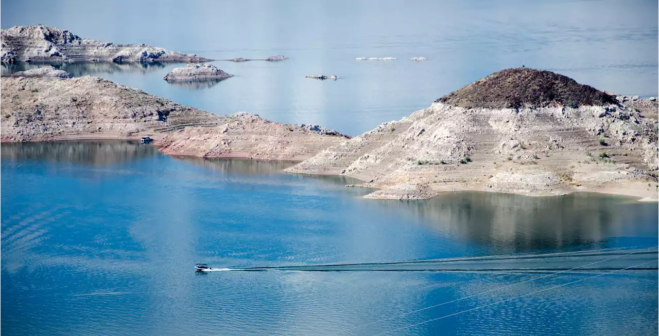 Lake Mead drowning victim's 10-year-old son thought he was playing in water