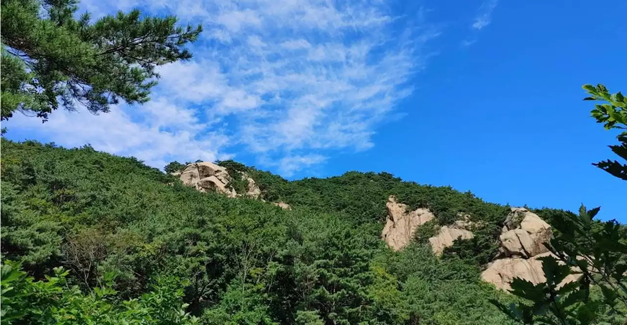 북한산 원효봉을 1년 동안 오르고 깨달은 것