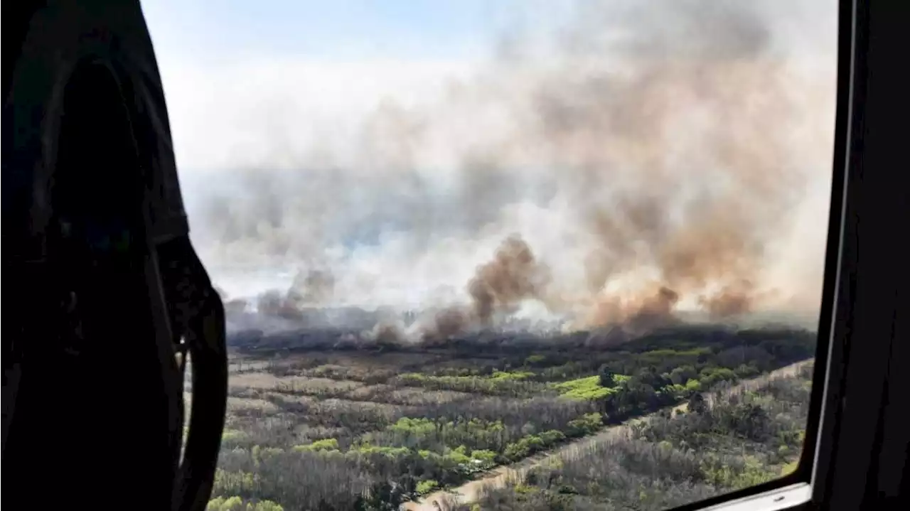 Incendios en el Delta del Paraná: así trabajan los brigadistas para combatir el fuego