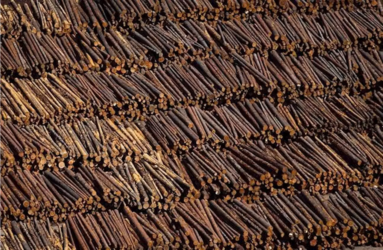Canada formally initiates challenge of 'unfair' U.S. duties on softwood lumber