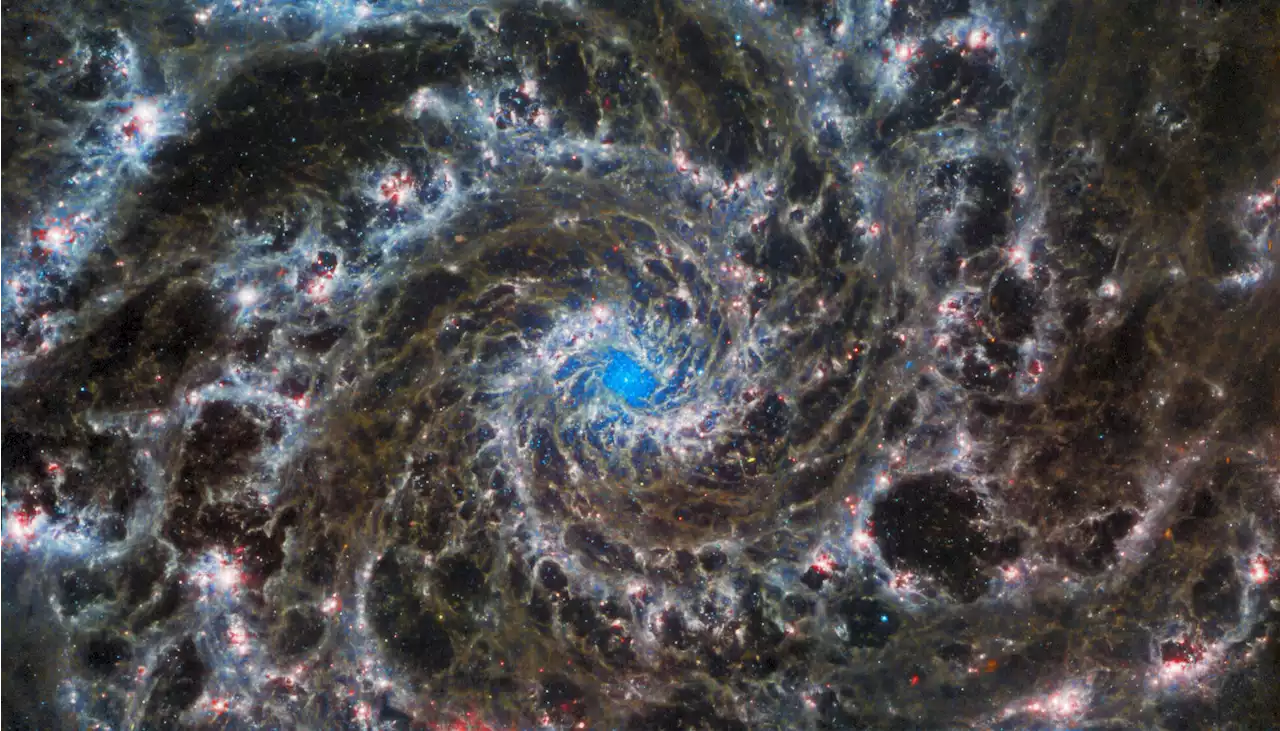 Spectacular Image of Heart of Phantom Galaxy Showcases Webb’s Power