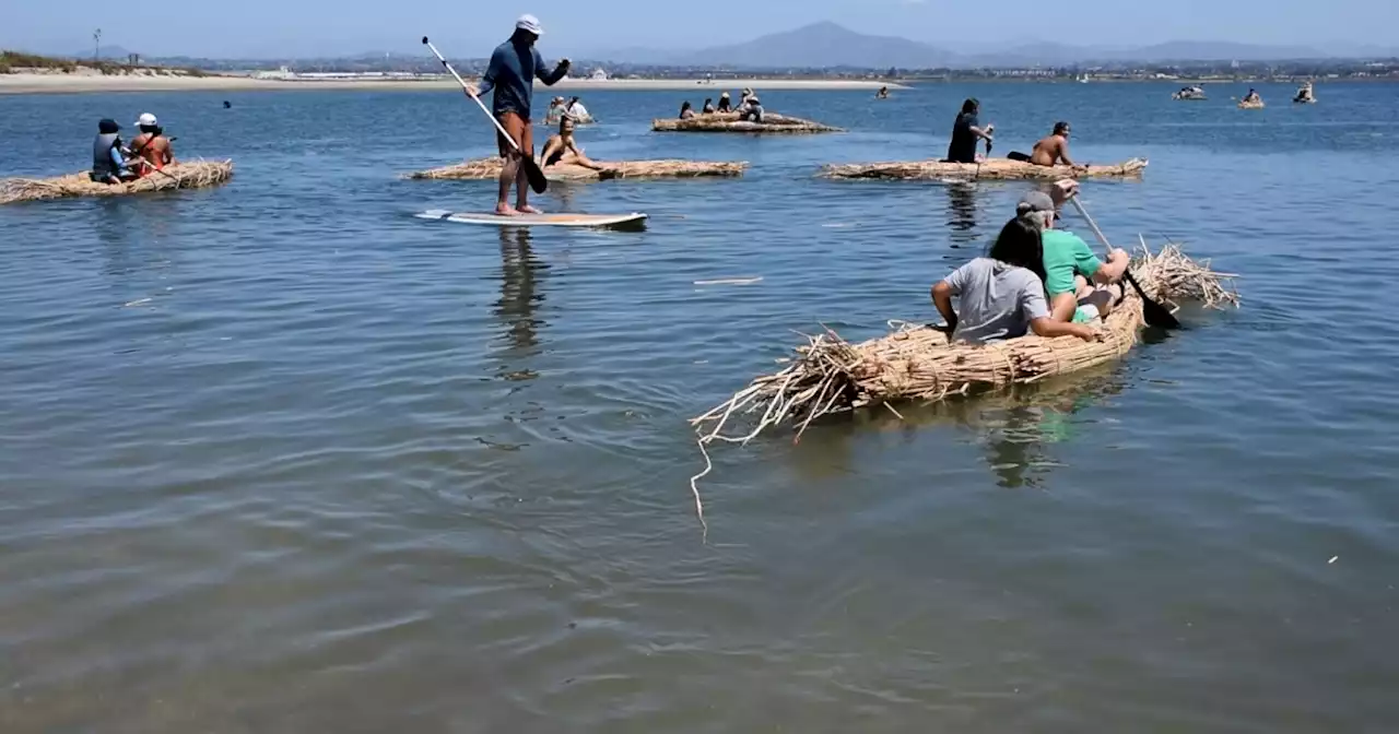 As part of cultural revitalization, Kumeyaay community celebrates launch of 50 tule boats