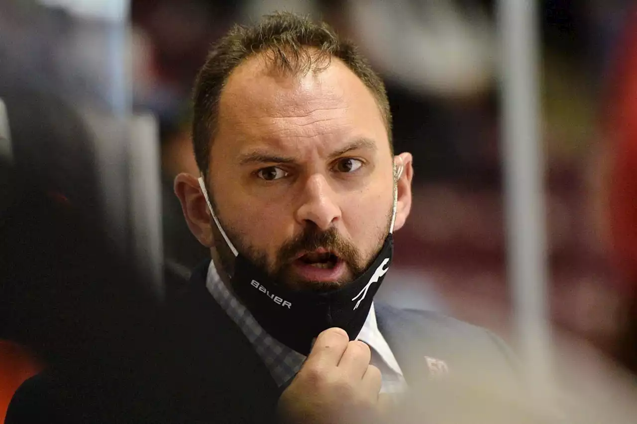 Greyhounds coaching staff to feature another new face