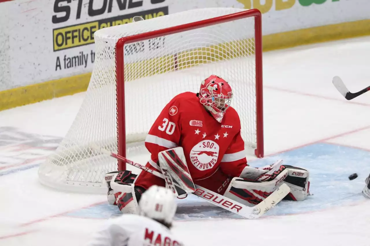 Hounds waive goalie Tynan as overage situation takes shape