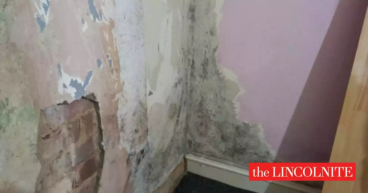 Family claims mould-infested bedrooms are ‘unliveable’