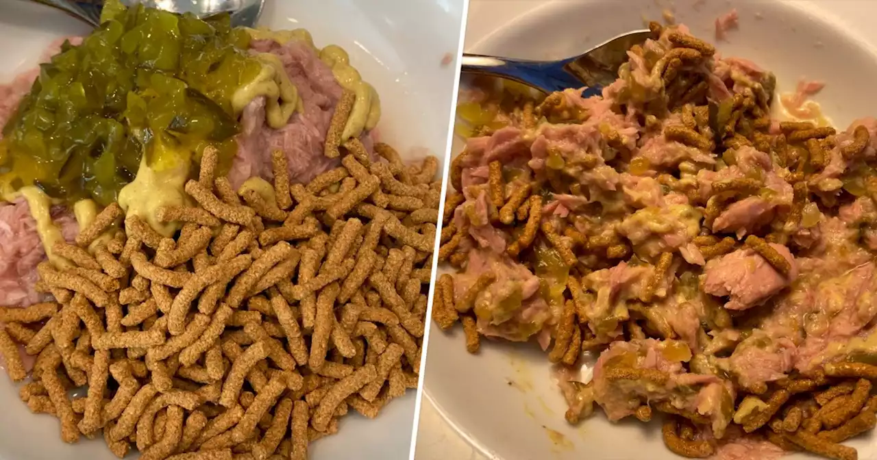 Journalist’s ‘anti-inflation’ meal goes viral for looking like ‘a mix of wet and dry cat food’