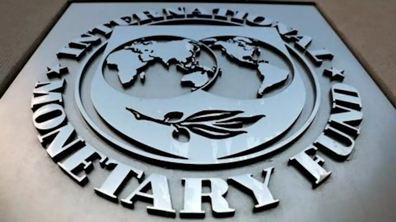 IMF approves revival of Pakistan loan programme as monsoon death toll rises