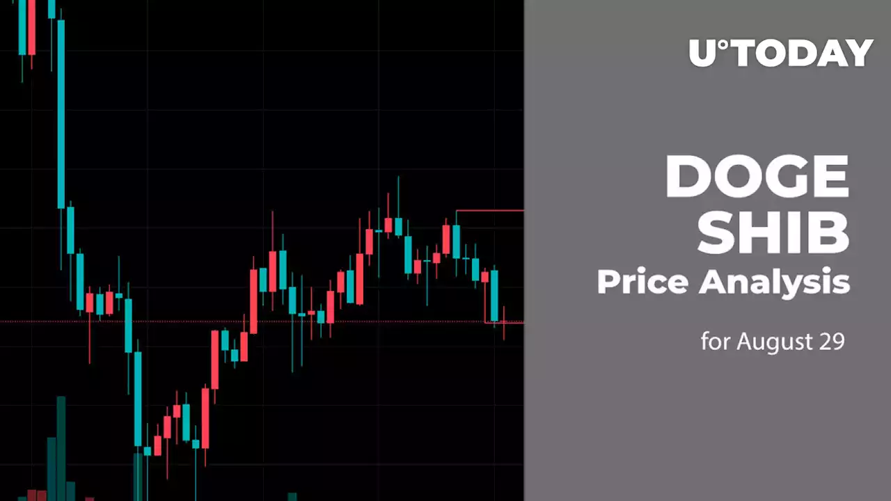 DOGE and SHIB Price Analysis for August 28