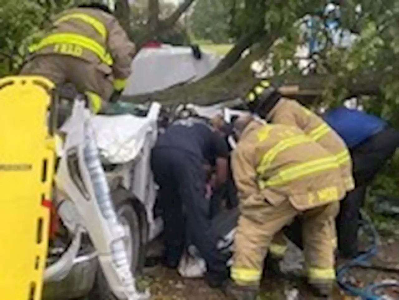 Monticello man injured when tree falls on top of vehicle during Monday storms