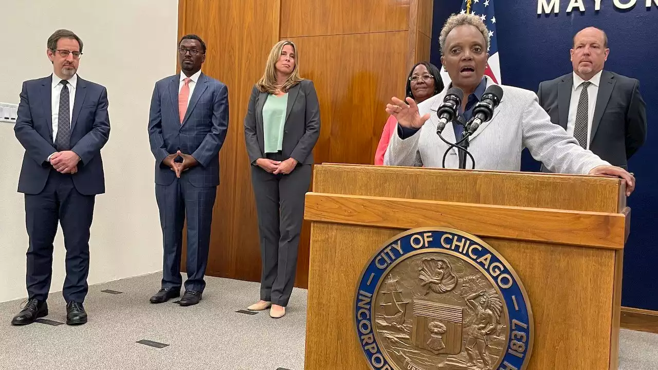 Lightfoot Names 7 to Interim Police Oversight Board After Long Delay