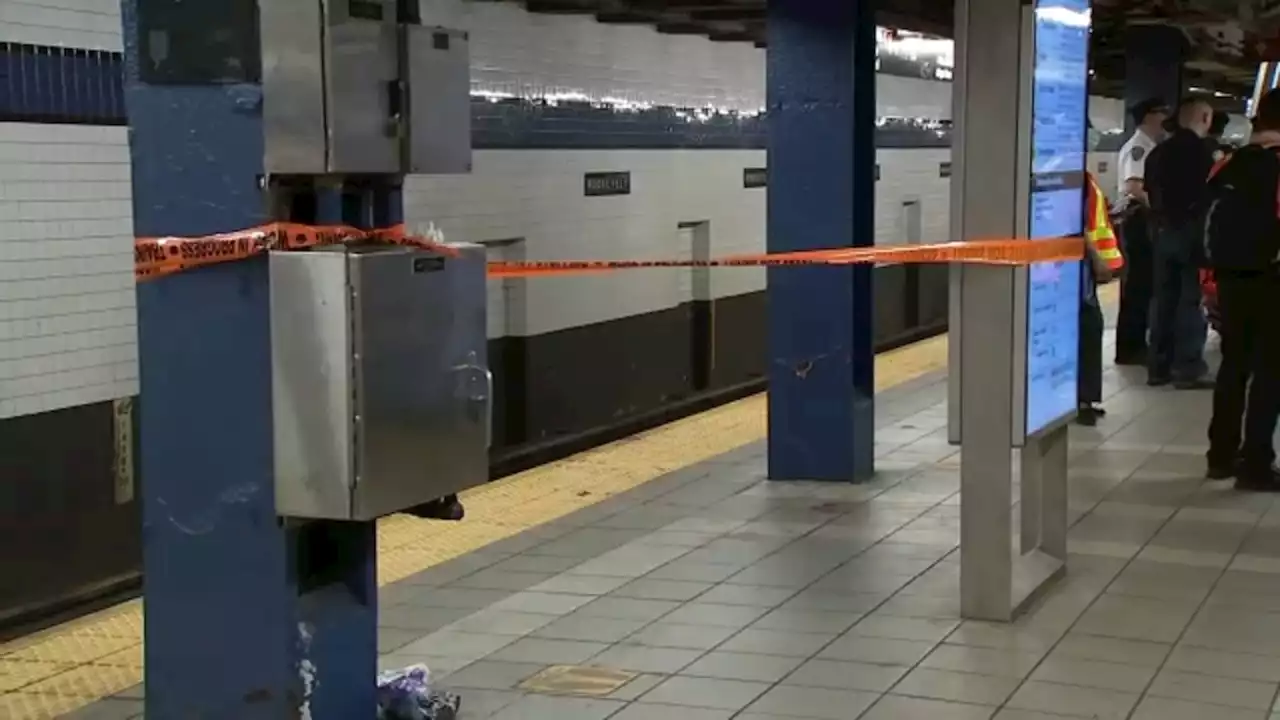 Teen's arm severed after fall while attempting to subway surf, police sources say