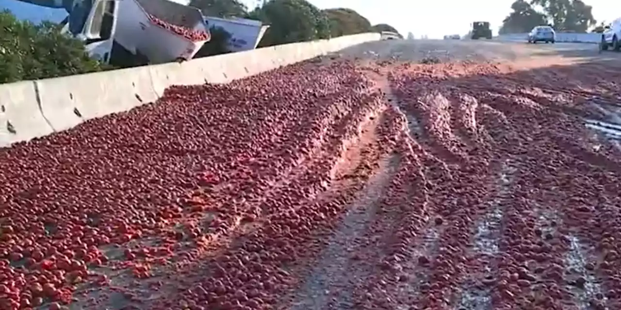 Three injured after massive tomato spill on highway