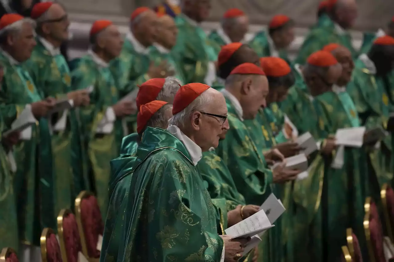 Pope meets with cardinals on future direction of church