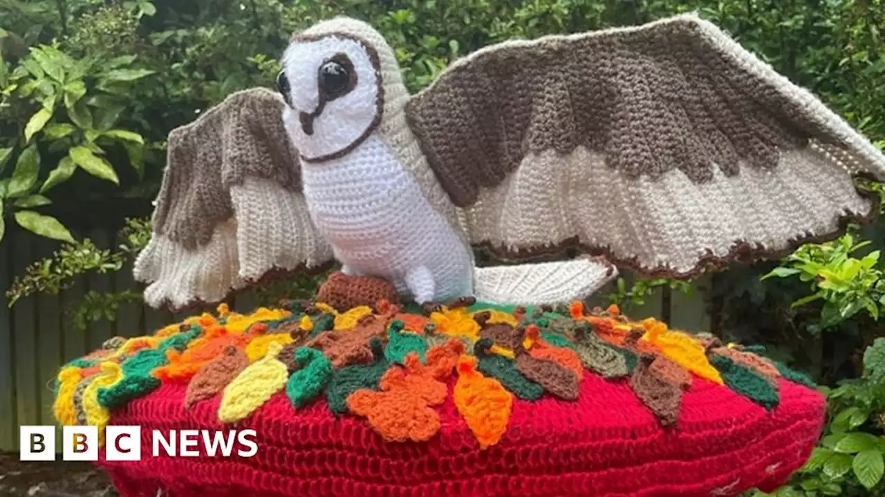 Crocheted owl stolen from Ticknall postbox